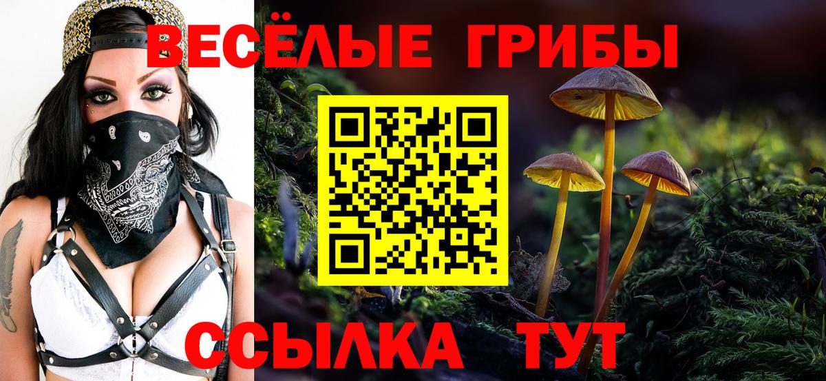 Псилоцибиновые грибы GOLDEN TEACHER  Вход с VPN  Новотроицк  Псилоцибиновые грибы GOLDEN TEACHER 